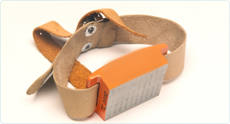 Chwytaki magnetyczne ręczne - Wrocław Chwytak magnetyczny hm s1